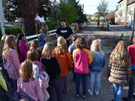 Anlage einer Hecke, eines Blühstreifens mit Saatbomben und Installation eines Insektenhotels