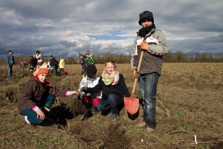 Kinder bei der Pflanzung